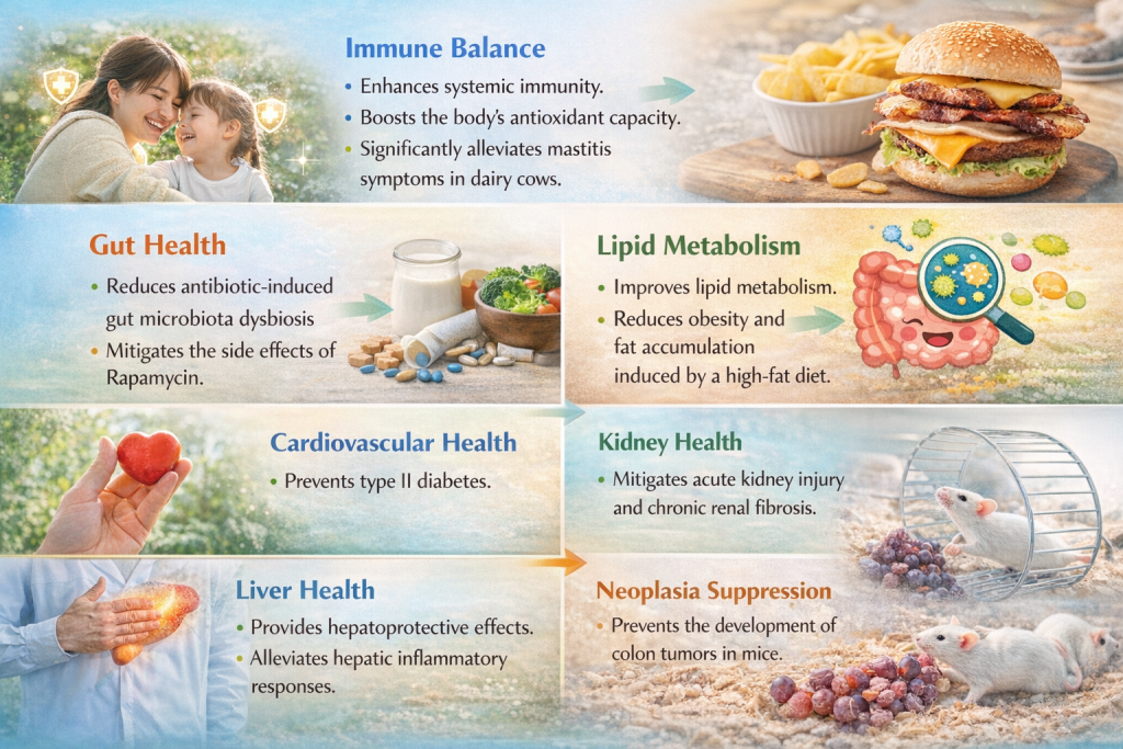 Science-Backed Probiotic L. Paracasei for Dietary Supplements 22ee5a