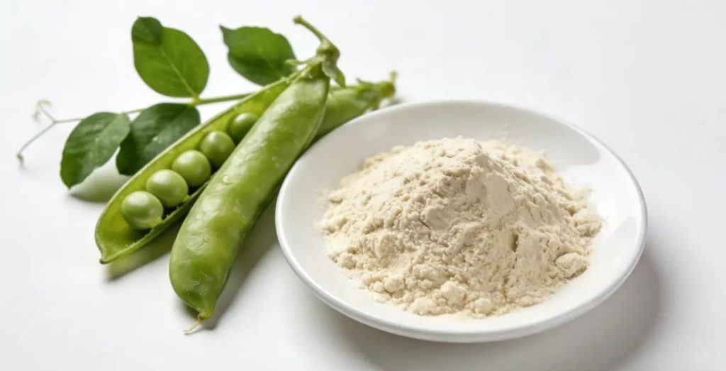 pea protein