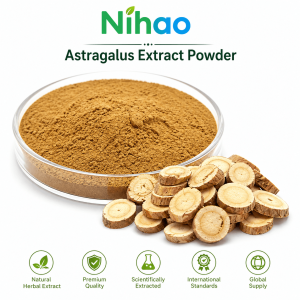 Astragalus extract powder made from natural Astragalus root for dietary supplements