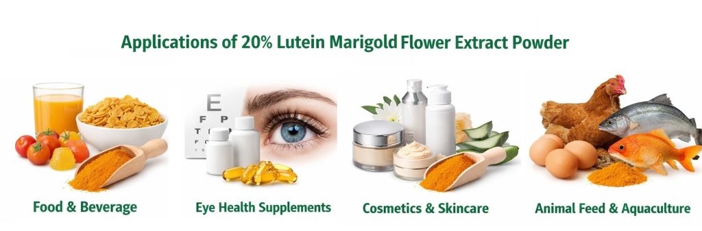 Lutein 2%~80% Applications