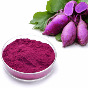 Organic Purple Sweet Potato Powder in a glass bowl, natural superfood rich in anthocyanins for baking, beverages, and smoothies