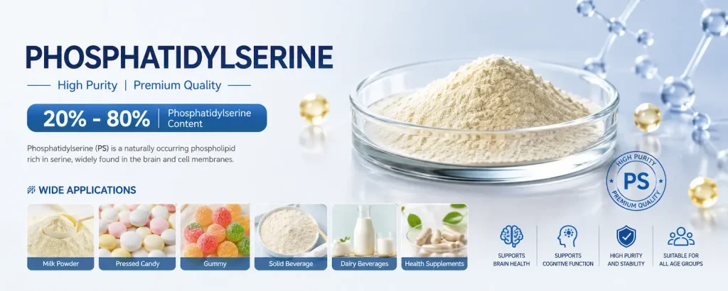 Global Phosphatidylserine (PS) Market Trends 2026 | Natural Non-GMO Soybean PS for Functional Food & Supplement phosphatidylserine (ps)
