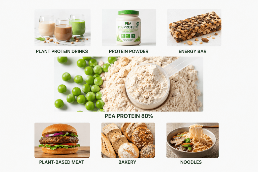 pea protein 80
