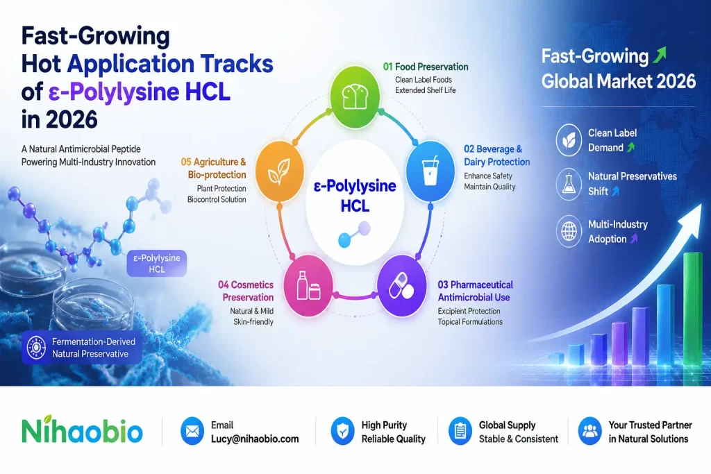 ε polylysine 2026