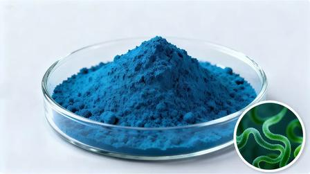 2026 Blue Spirulina (Phycocyanin) Industry Trend: Global Application Scenarios & Latest Regulatory News for Natural Blue Food Coloring image